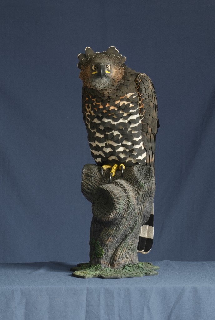 aguila coronada paco ventura Stephanoaetus coronatus Crowned hawk-eagle wildlife sculpture