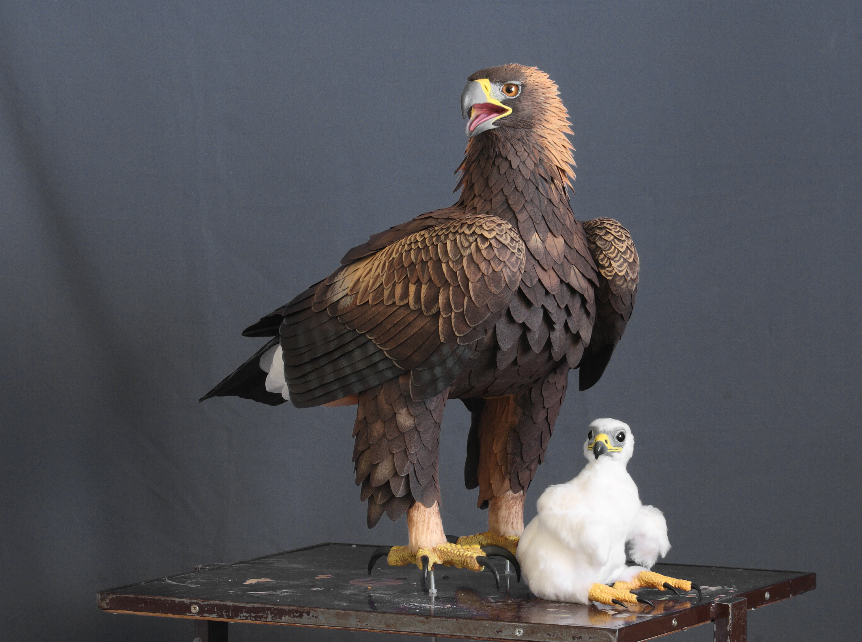 aguila real y pollo paco ventura Aquila chrysaetos Golden eagle wildlife sculpture