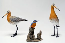 Martín pescador y agujas