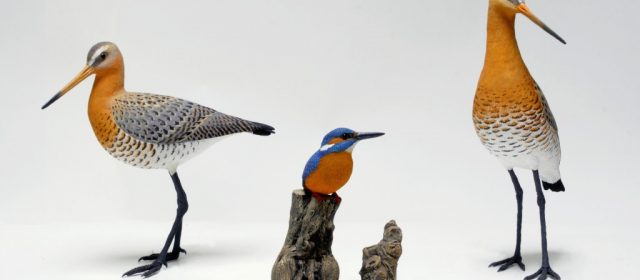 Martín pescador y agujas