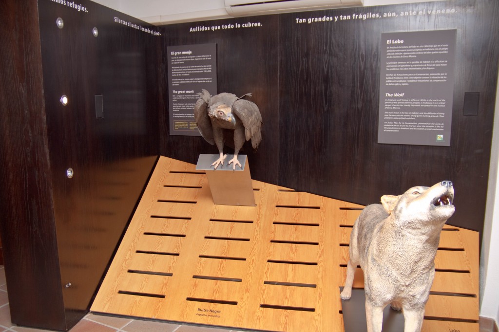 buitre negro y lobo cazorla 2004 paco ventura wildlife sculpture