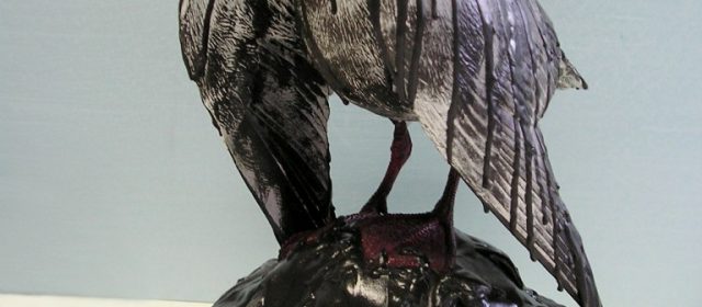 Gaviota con chapapote