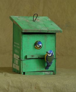 Herrerillos en caja nido