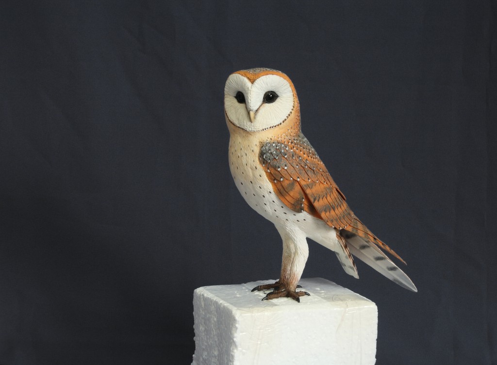 lechuza comun paco ventura Tyto alba  Barn owl wildlife sculpture
