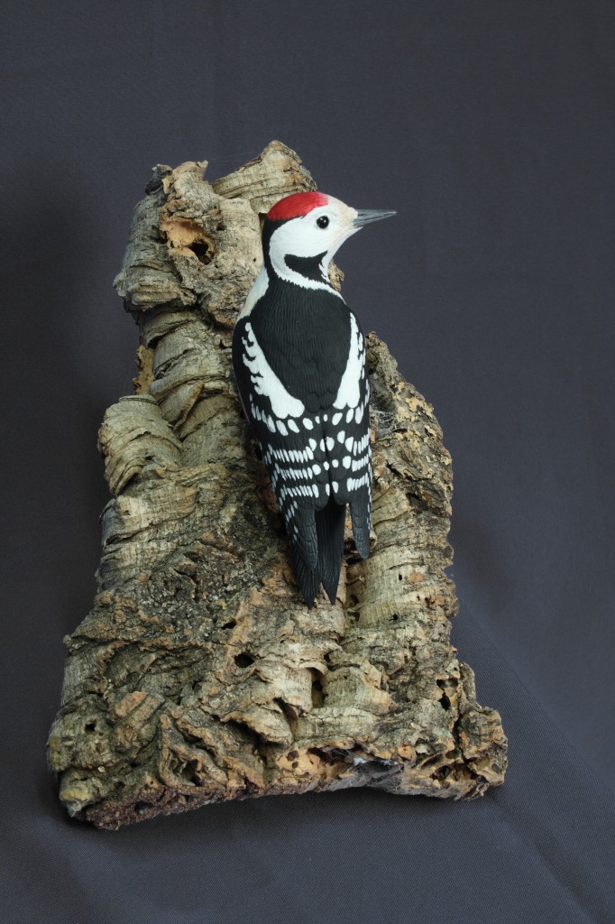 pico mediano paco ventura Dendrocopos medius Middle spotted woodpecker wildlife sculpture