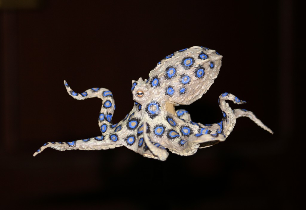 pulpo de anillos azules paco ventura Hapalochlaena lunulata Greater blue-ringed octopus wildlife sculpture