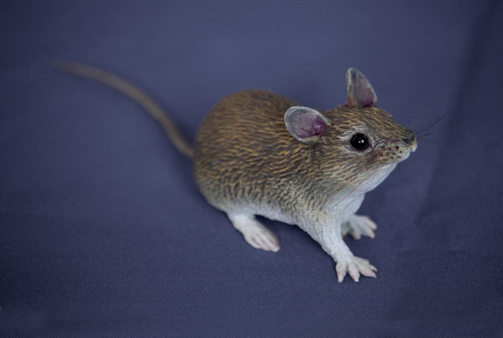 raton paco ventura Mus musculus House mouse wildlife sculpture